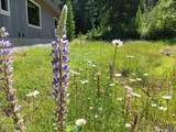 452 Toad Road - Photo 30