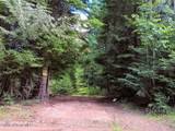 452 Toad Road - Photo 39