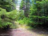 452 Toad Road - Photo 40