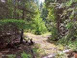452 Toad Road - Photo 42