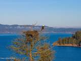 NNA Bridger Trail - Photo 20