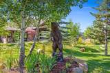 3674 Basin Falls Rd - Photo 48