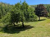 3115 Cherry Creek Rd - Photo 35
