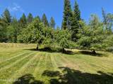 3115 Cherry Creek Rd - Photo 37
