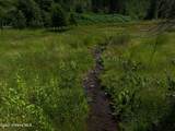 3115 Cherry Creek Rd - Photo 49