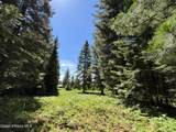 118 Walsh Way - Photo 41