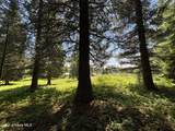 118 Walsh Way - Photo 42