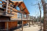 480 Sunnyside Ridge Rd - Photo 53