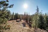 480 Sunnyside Ridge Rd - Photo 57