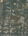 95 Wyatt Ln - Photo 20