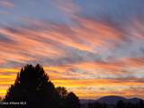 2893 Strawberry Ln - Photo 35