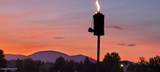 2893 Strawberry Ln - Photo 36