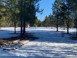 NKA Akin Back Ranch Rd - Photo 4