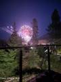 16688 Waller Rd - Photo 83