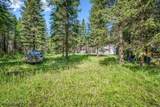 2013 Homestead Rd - Photo 10