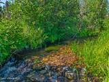 416 Crystal Creek Rd - Photo 3