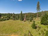 416 Crystal Creek Rd - Photo 52