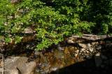 241 Strawberry Creek Rd - Photo 40