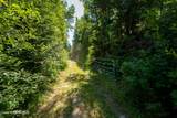 241 Strawberry Creek Rd - Photo 55