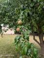 6725 Augusta St - Photo 22