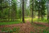 493 Rim Dr - Photo 66