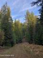 Lot 3 Flat Creek Road - Photo 6