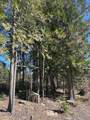 Lot 3 Flat Creek Road - Photo 8