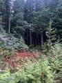 Lot 3 Flat Creek Road - Photo 9