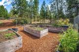 11516 Crystal Bay Rd - Photo 61