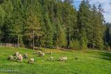 822 Little Spokane River Rd - Photo 33