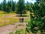 30267 Wheatridge Rd - Photo 94