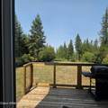 101 Maple Ln - Photo 12