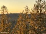 407 Spyglass Hill Rd - Photo 66