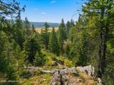 258 Nitty Gritty Ln - Photo 49