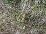 18432 Westside Rd - Photo 59