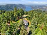 735 Bushwacker Rd - Photo 7