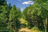 104 Cat Rd - Photo 36