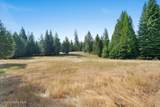1840 Old Priest River Rd - Photo 42
