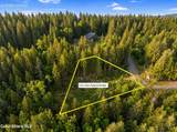 13 Timber Grove - Photo 15
