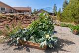 34197 Hayden Dr - Photo 37