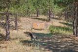 18341 Hwy 53 - Photo 25