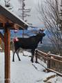 12251 Blessing Hill Rd - Photo 87