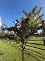 119 Beaver Hill Rd - Photo 46