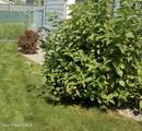 1081 Woodlawn Dr - Photo 19