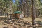 27294 Clagstone Rd - Photo 53