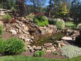 514 Dunbarton Oaks Ln - Photo 13