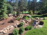 514 Dunbarton Oaks Ln - Photo 14