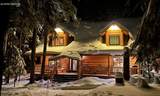 3882 Cavanaugh Bay Rd - Photo 1