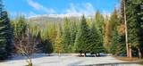 7618 Emporia Ln - Photo 44