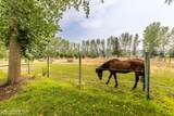 6571 Big Sky Dr - Photo 67